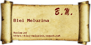Blei Meluzina névjegykártya